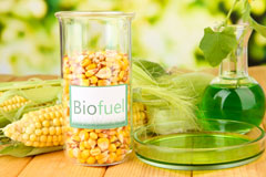 Hillsborough biofuel availability